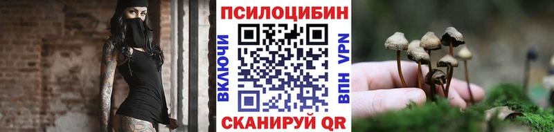 Купить закладки  Верхнеуральск  Галлюциногенные грибы Psilocybe 